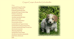 Desktop Screenshot of coppercanyonlabradoodles.com