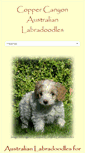 Mobile Screenshot of coppercanyonlabradoodles.com