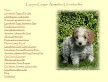 Tablet Screenshot of coppercanyonlabradoodles.com